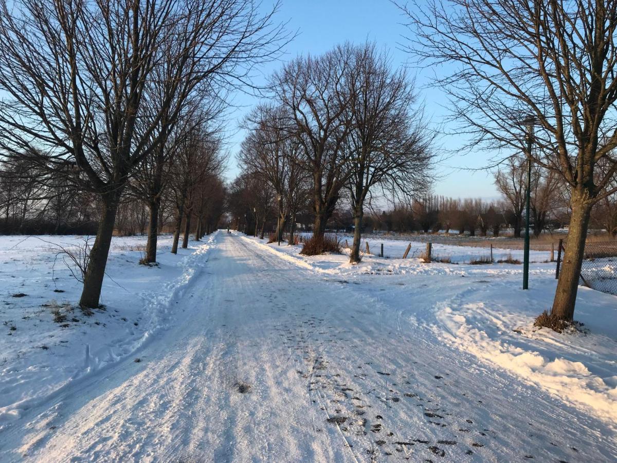 Dat-Klinkerhus Glowe Esterno foto